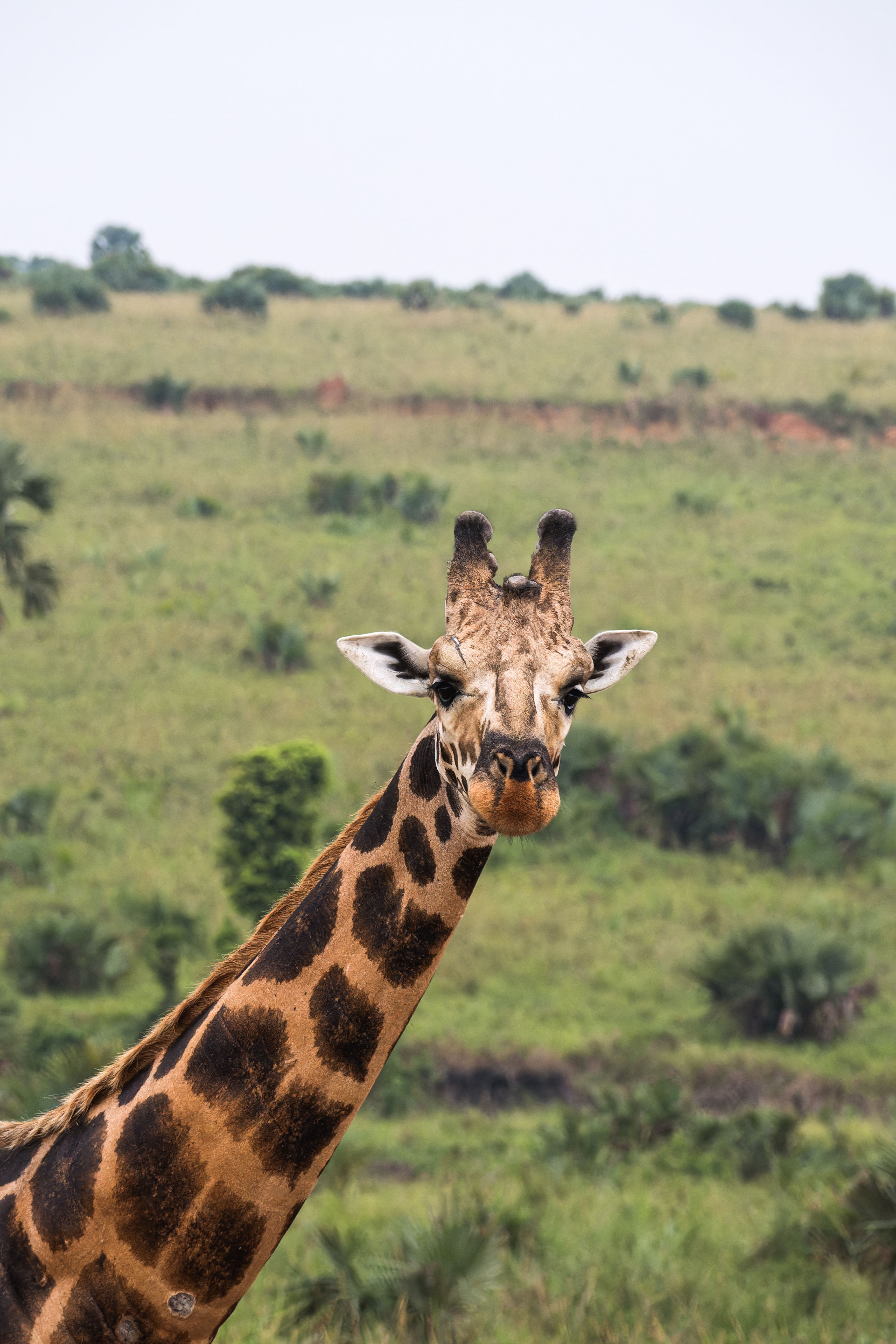 Rwanda